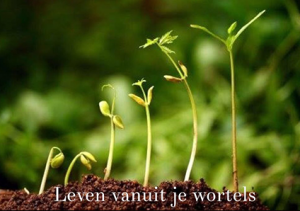 Leven-vanuit-je-wortels Leven vanuit je wortels instituut orshof