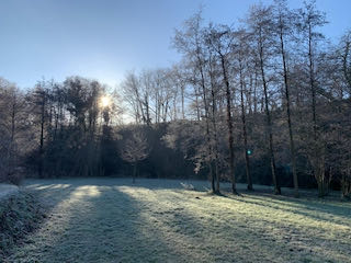 ae286c10-8c1b-4aba-a9a0-3d51d7b30bc5